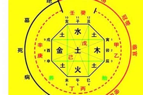 五行忌什么|八字喜用神在线查询器,在线查五行喜神忌神